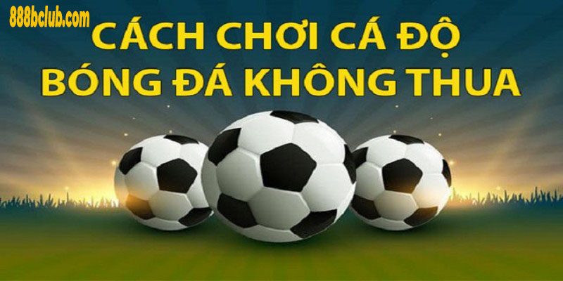 Hướng dẫn cơ bản về cách chơi cá cược bóng đá không thua