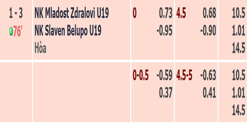 Tỷ lệ tài xỉu trận U19 NK Mladost Zdralovi vs U19 NK Slaven Belupo được điều chỉnh